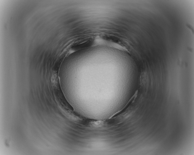 X0000099500092200806051133