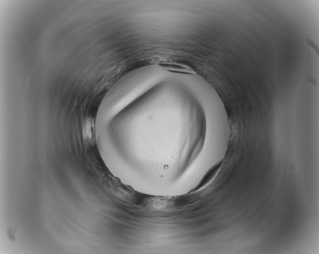 X0000099500094200806051133