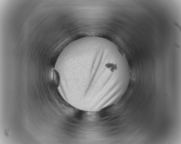 X0000099500095200806051133