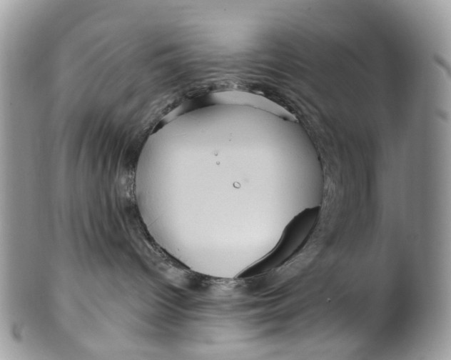 X0000099500096200806051133