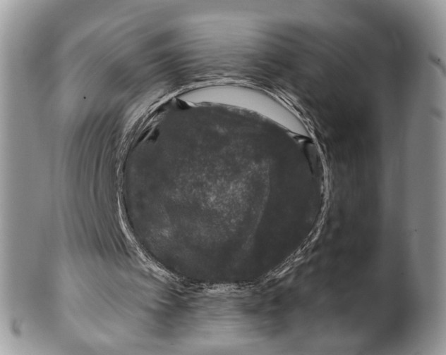 X0000099500097200806051132