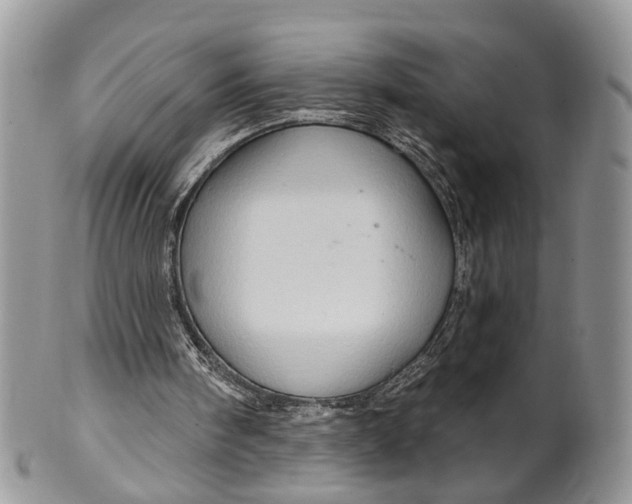 X0000099500098200806051132