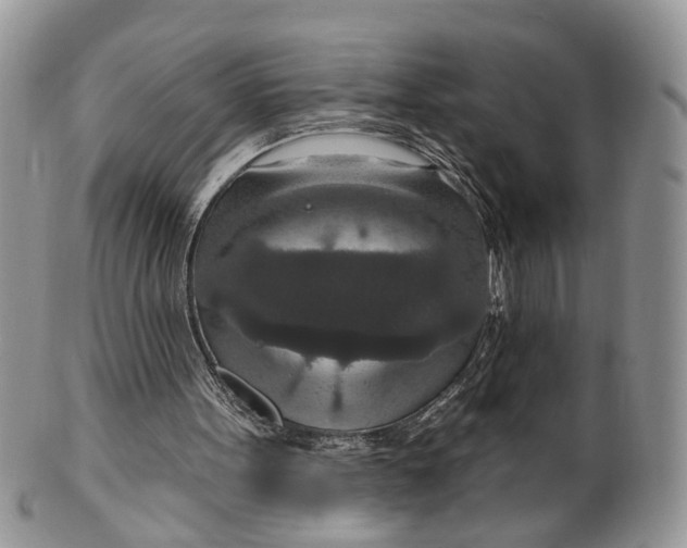 X0000099500099200806051132