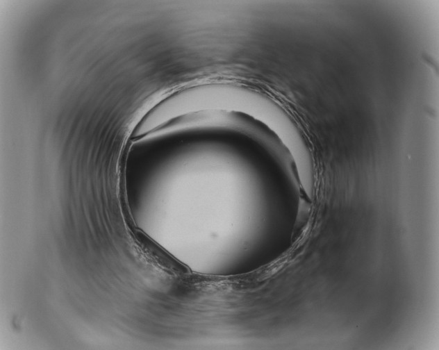 X0000099500100200806051132