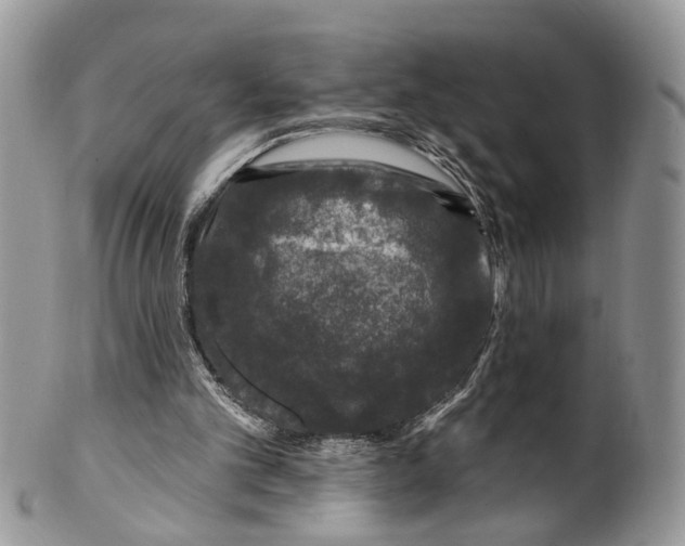 X0000099500101200806051132