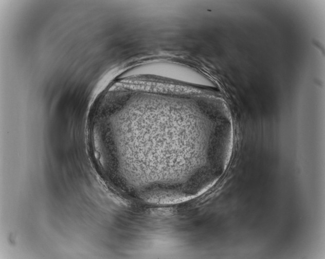 X0000099500102200806051132