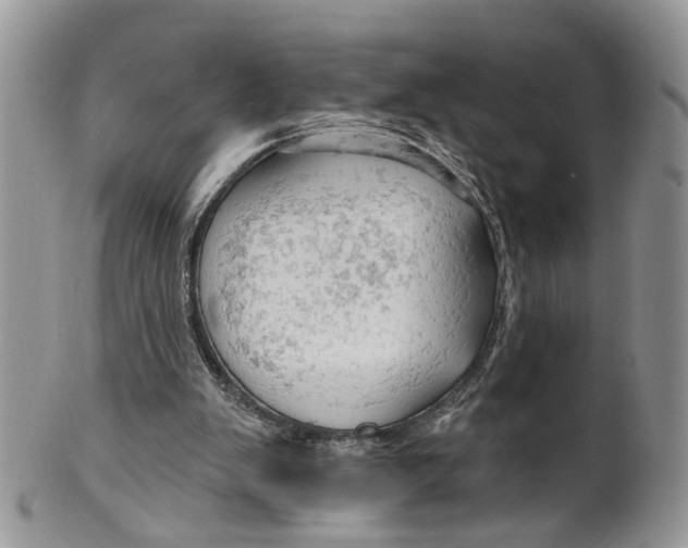 X0000099500103200806051132