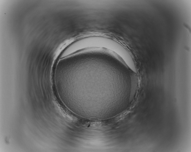 X0000099500104200806051132