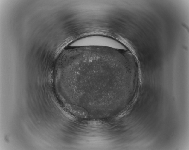 X0000099500105200806051132