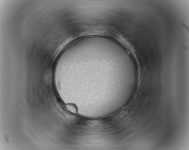 X0000099500107200806051132