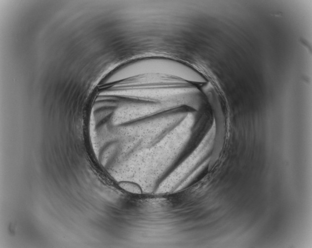 X0000099500108200806051132