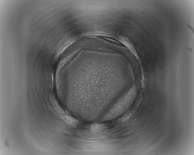 X0000099500109200806051132