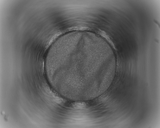 X0000099500110200806051132