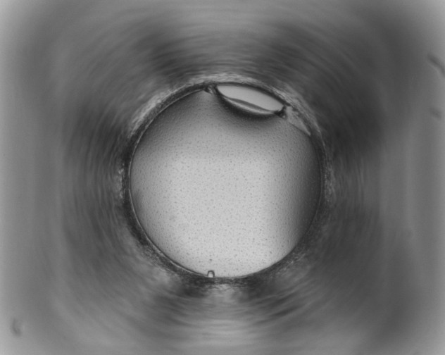 X0000099500111200806051132