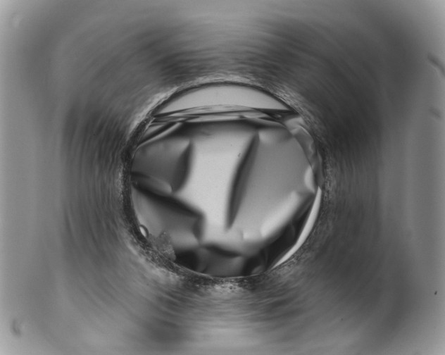 X0000099500112200806051132