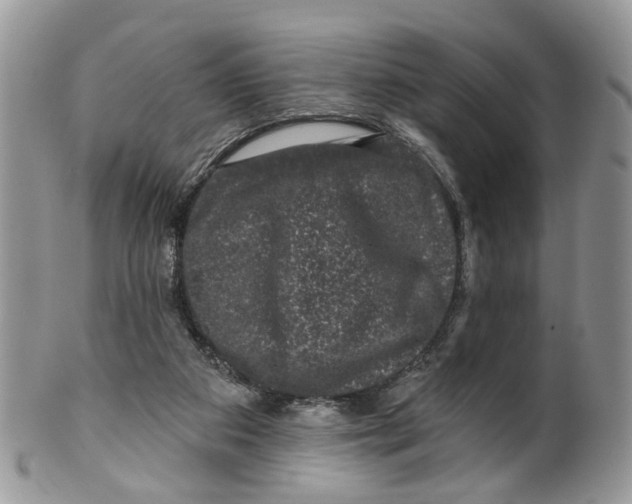 X0000099500113200806051132