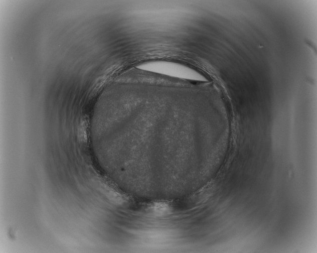 X0000099500114200806051132