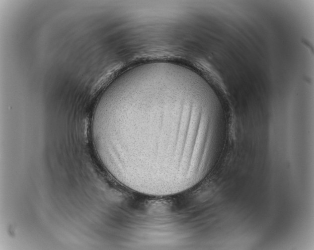 X0000099500115200806051132