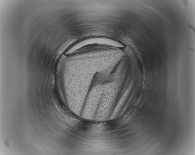 X0000099500116200806051132