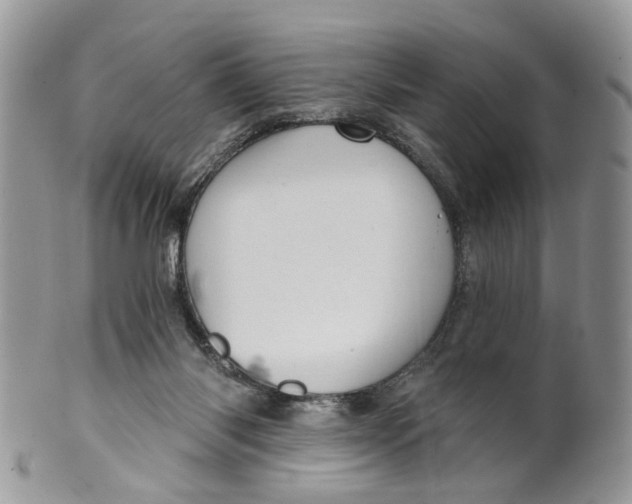 X0000099500118200806051132