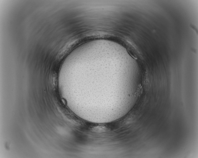 X0000099500119200806051132