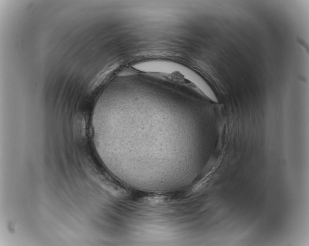 X0000099500120200806051132