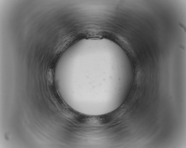 X0000099500121200806051132