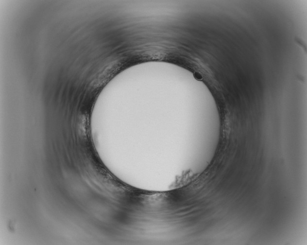 X0000099500122200806051132