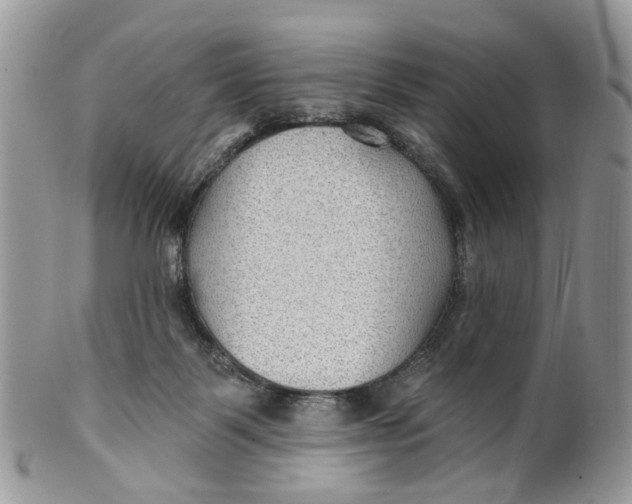 X0000099500123200806051132