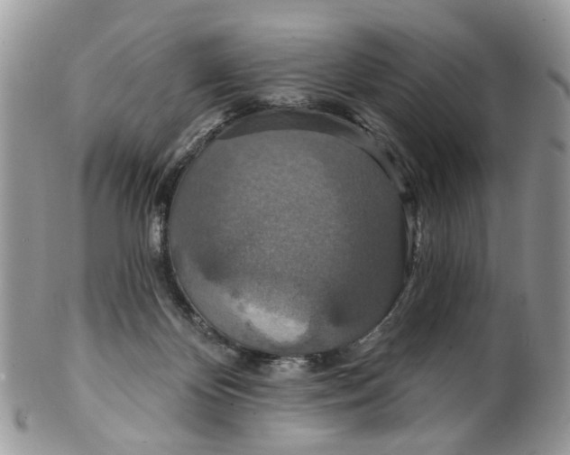 X0000099500124200806051132