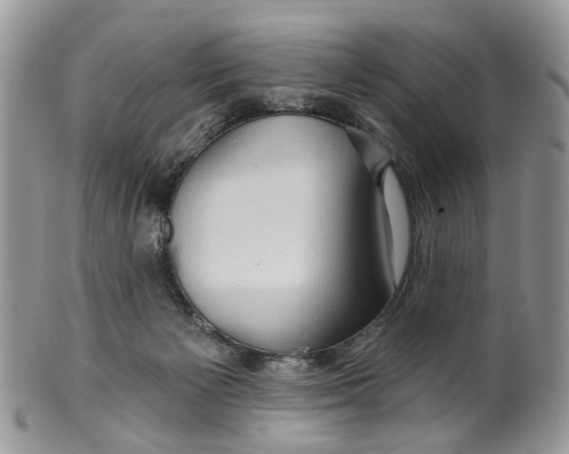 X0000099500125200806051132