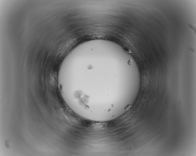 X0000099500126200806051132