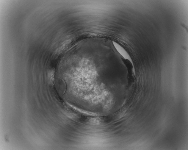 X0000099500127200806051132