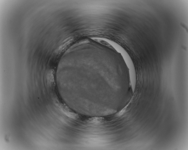 X0000099500128200806051132