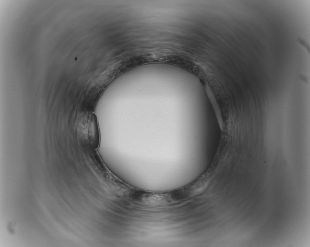 X0000099500129200806051132