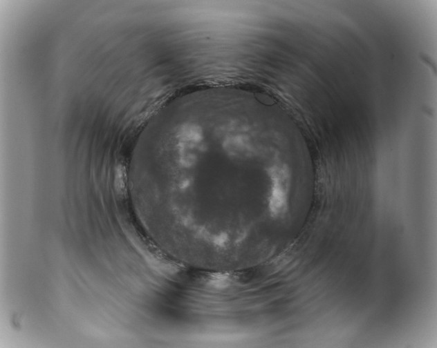 X0000099500130200806051132