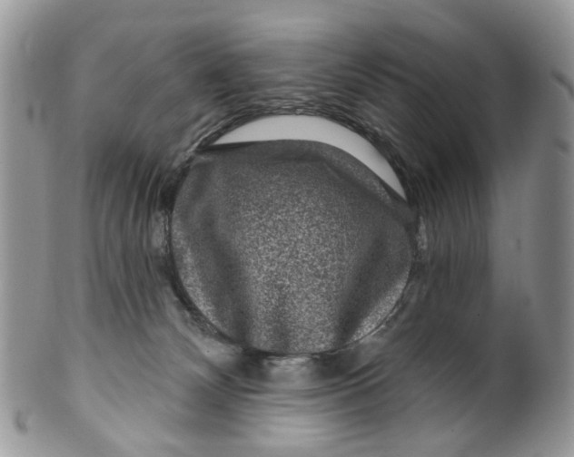 X0000099500132200806051132