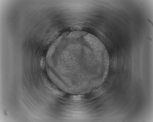 X0000099500134200806051132