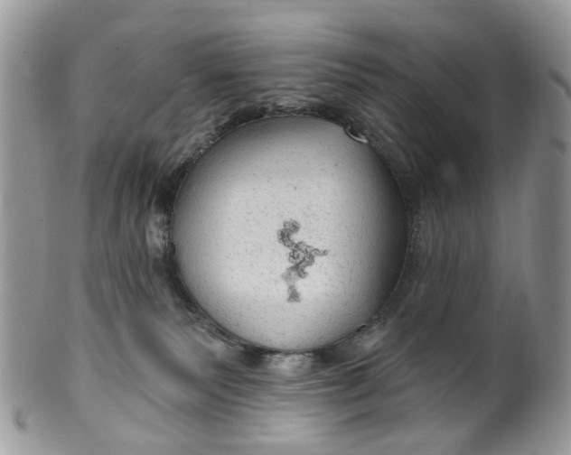 X0000099500135200806051132