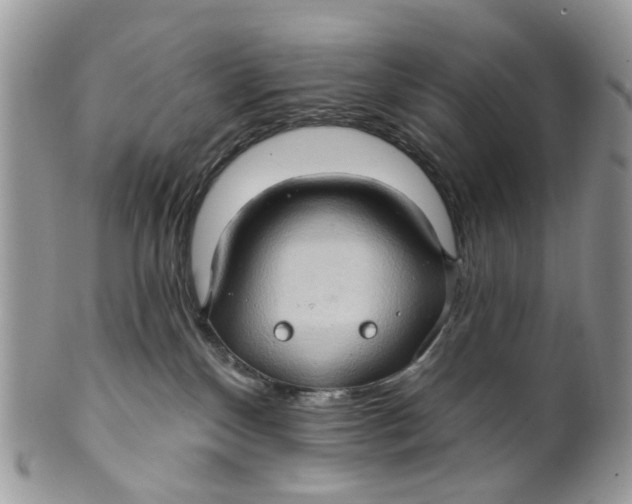 X0000099500136200806051132