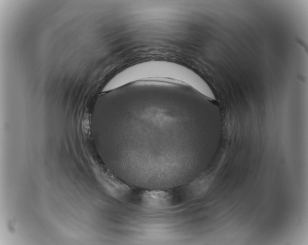 X0000099500137200806051132