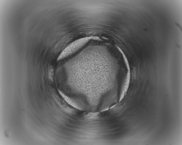 X0000099500138200806051132