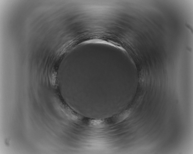 X0000099500139200806051132