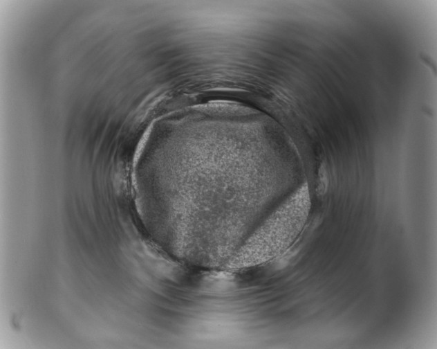 X0000099500140200806051132