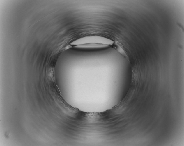 X0000099500141200806051132