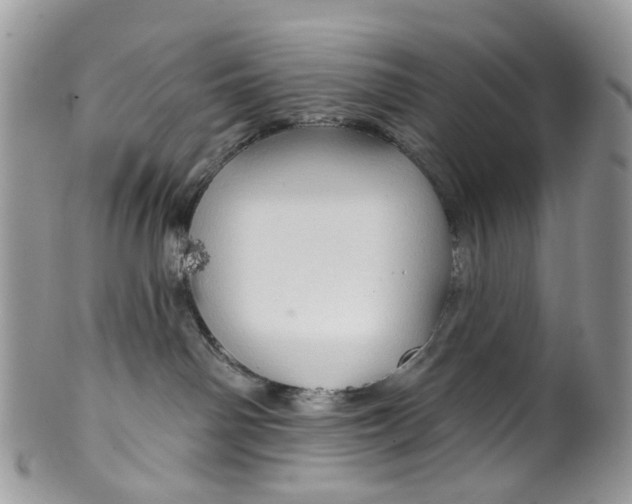 X0000099500142200806051132