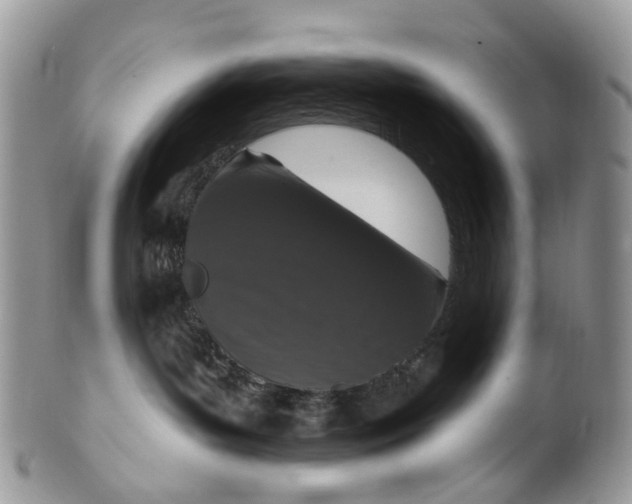 X0000099500143200806051132