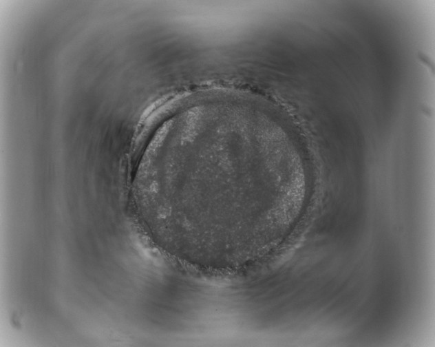 X0000099500144200806051132