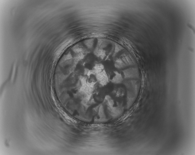 X0000099500145200806051131