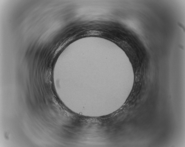 X0000099500146200806051131